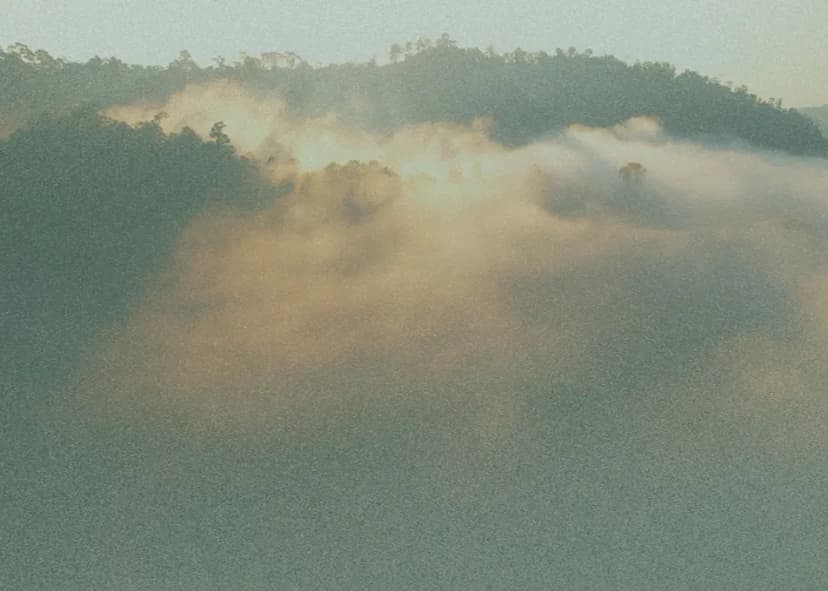 ✨ Integrative Support Session